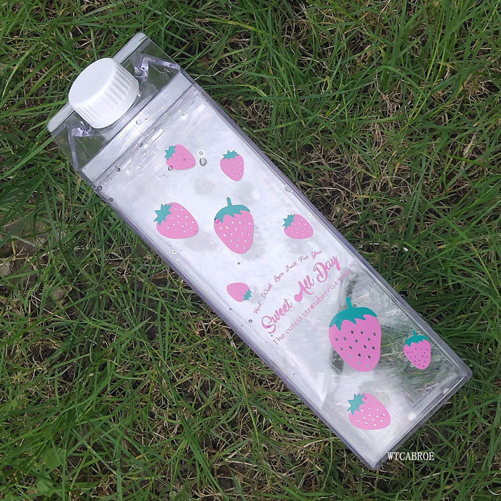 500ML Water Bottle Drinkware E - Sports Equipment Kitchener reseña y precio